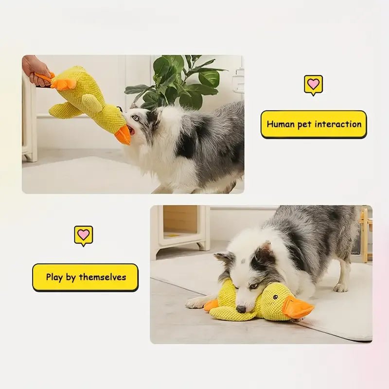Calm Feathers Dog Toy